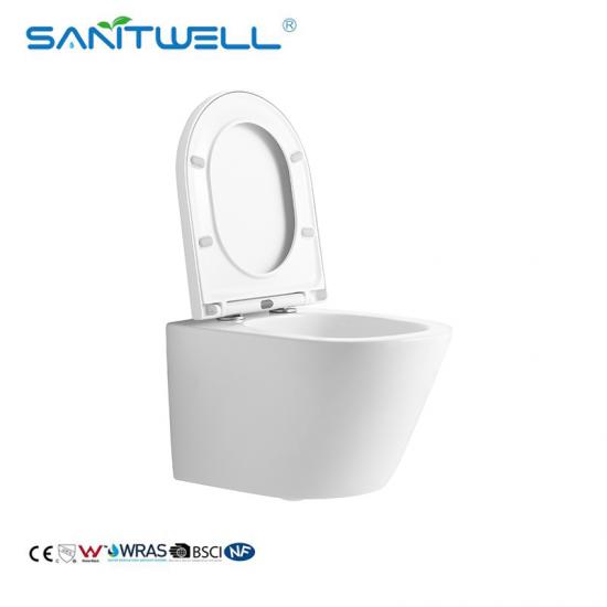 Ceramic wall hung toilet