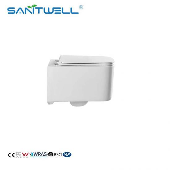 Wall hung toilet