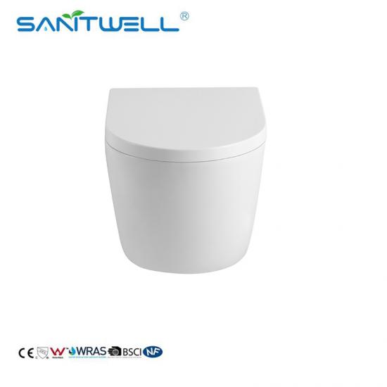 Ceramic wall hung toilet