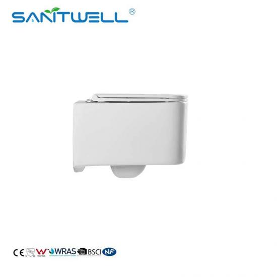 Wall hung toilet