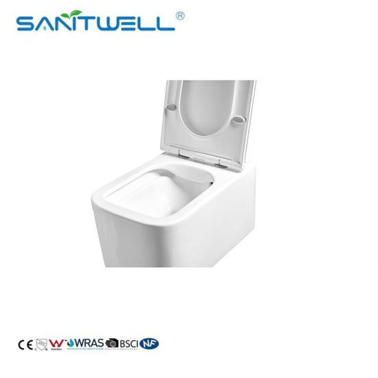 Wall hung toilet