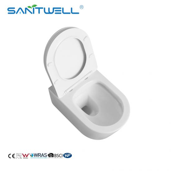 Wall hung toilet