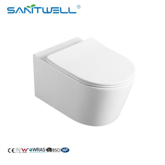 Wall hung toilet
