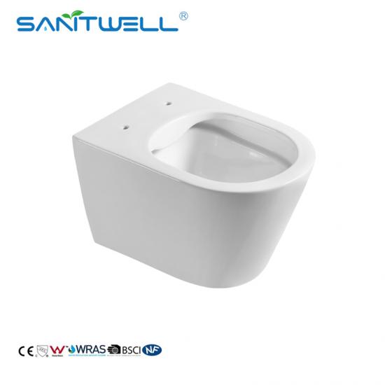 Wall hung toilet