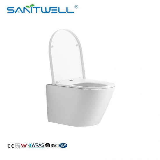 Wall hung toilet