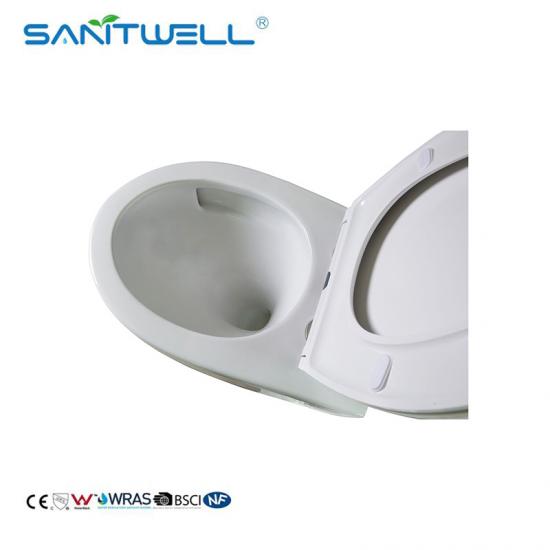 Wall hung toilet