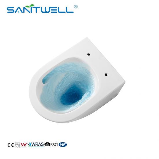 Wall hung toilet