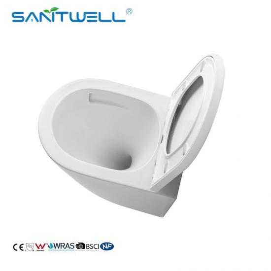 Wall hung toilet