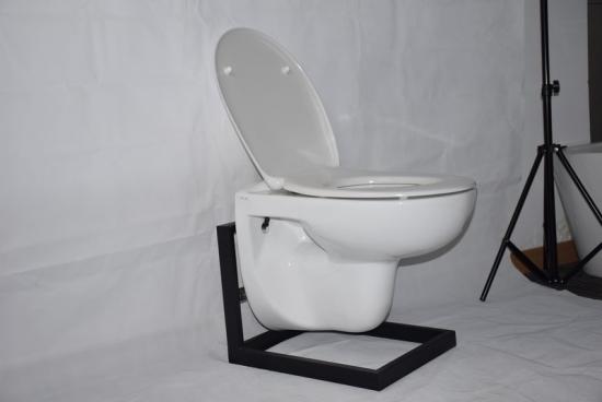 Wall hung toilet