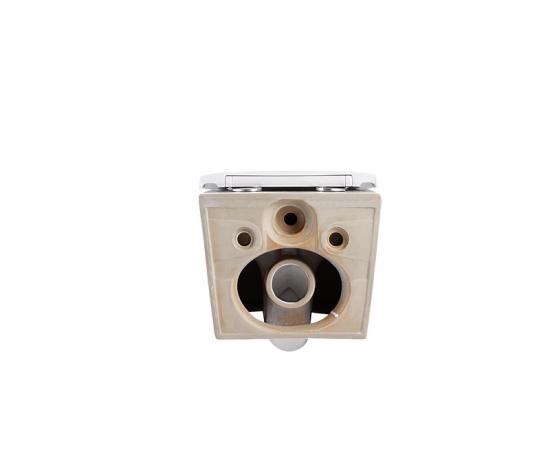 Wall hung toilet