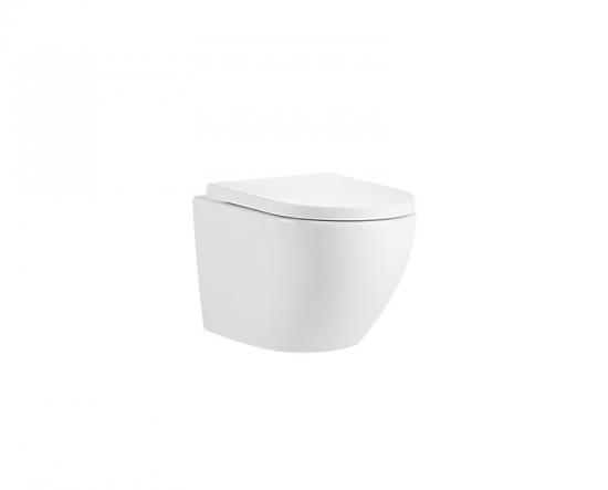 Wall hung toilet
