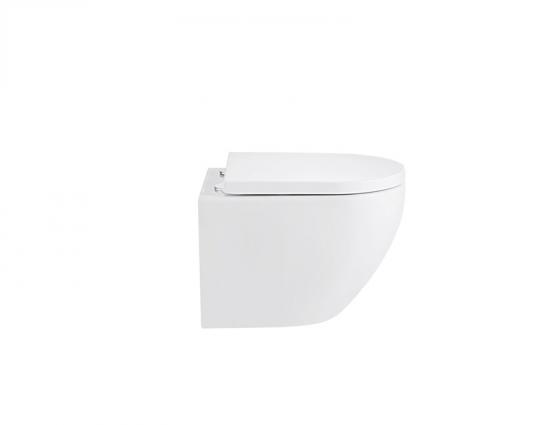 Wall hung toilet