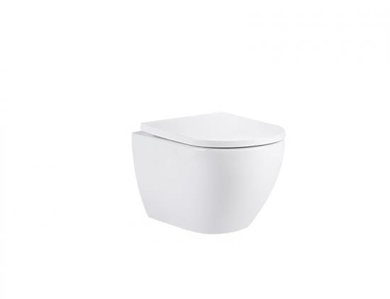 Wall hung toilet