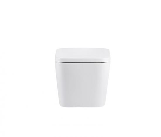 Wall hung toilet
