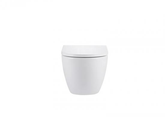 Wall hung toilet