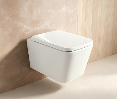 Wall hung toilet