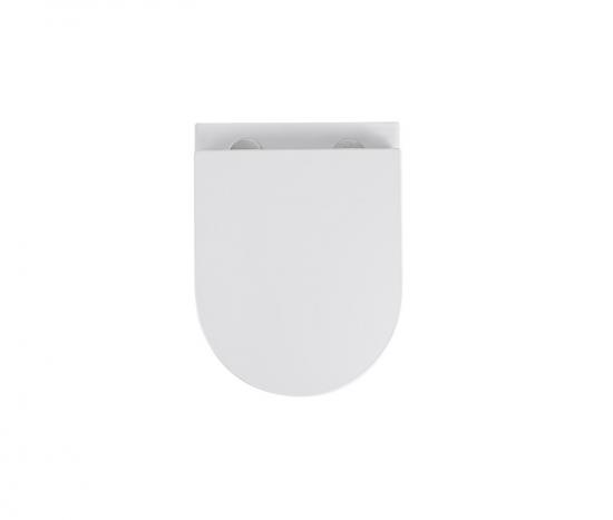 Wall hung toilet