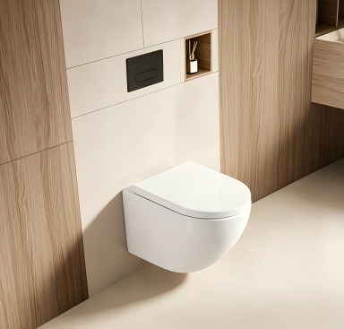 Wall hung toilet