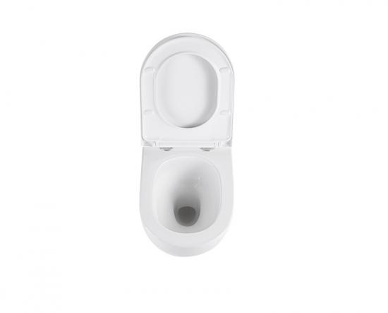 Wall hung toilet