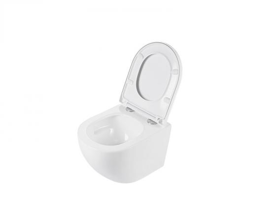 Wall hung toilet