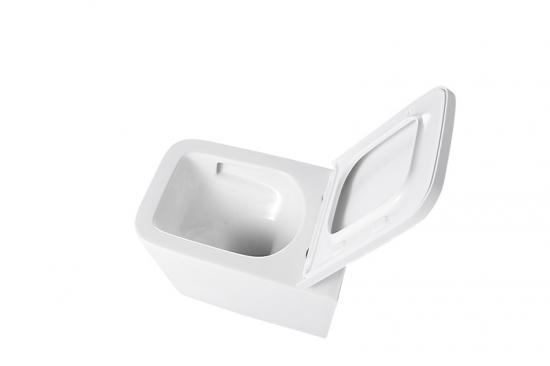 Wall hung toilet