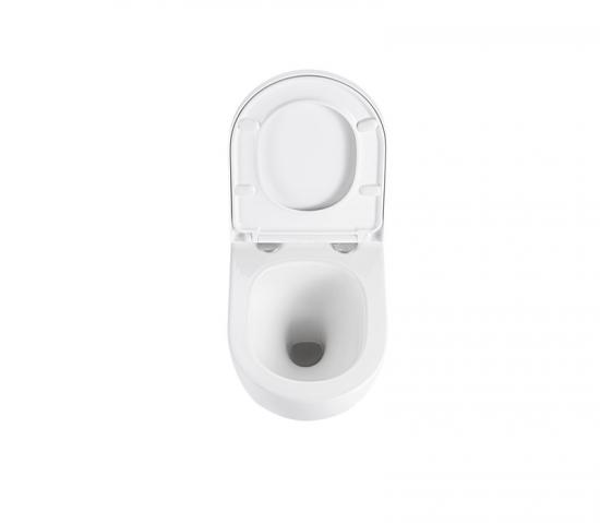 Wall hung toilet