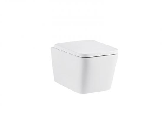 Wall hung toilet