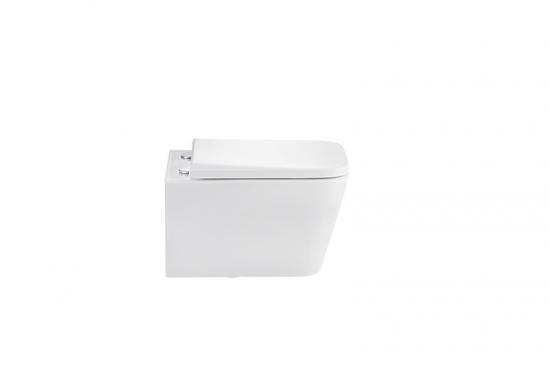 Wall hung toilet
