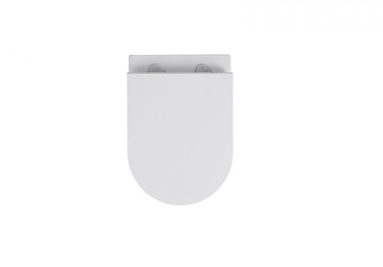 Wall hung toilet