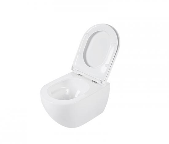 Wall hung toilet