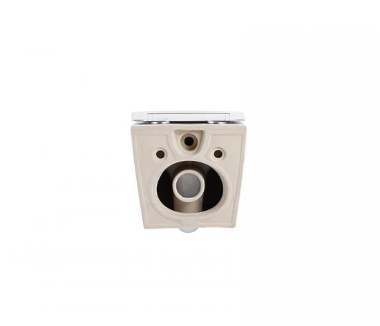Wall hung toilet