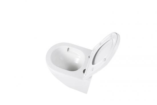 Wall hung toilet
