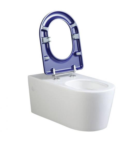 Wall hung toilet