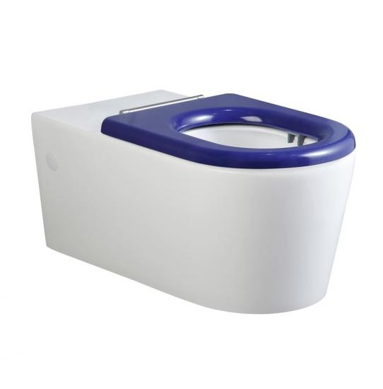 Wall hung toilet