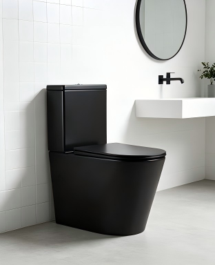 Two pieces toilet