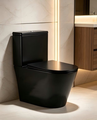 Two pieces toilet