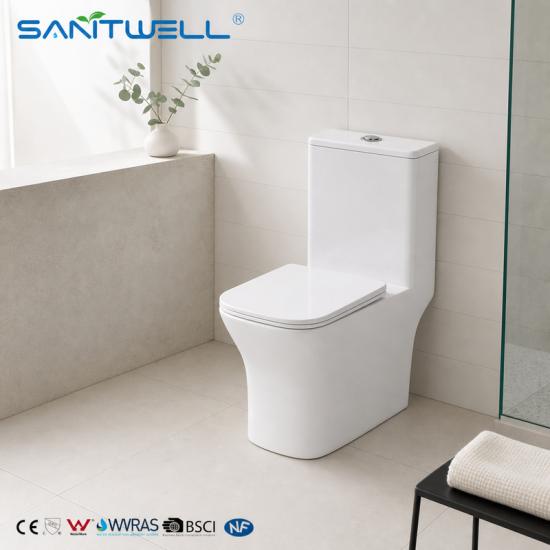 One piece toilet