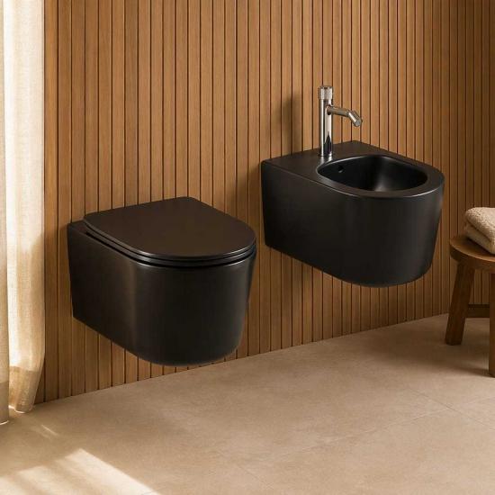 Wall hung toilet