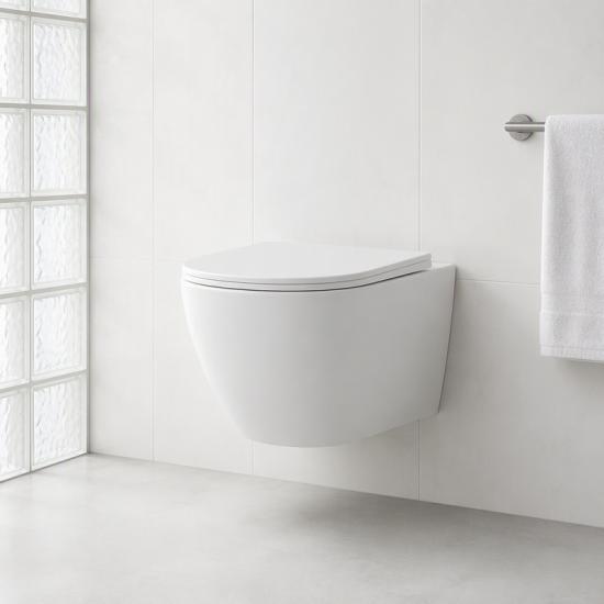 Wall hung toilet