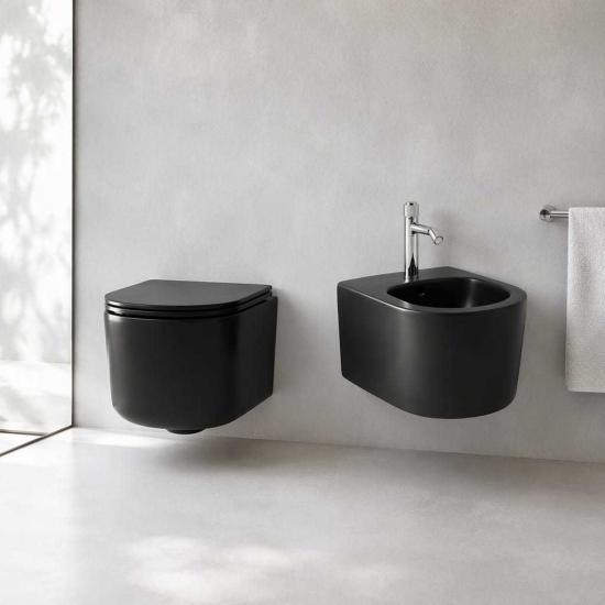 Wall hung toilet
