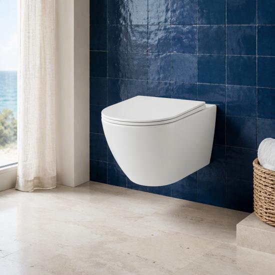 Wall hung toilet