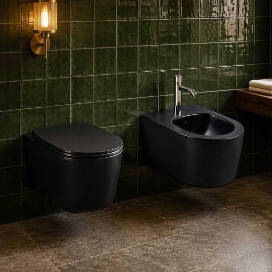Wall hung toilet