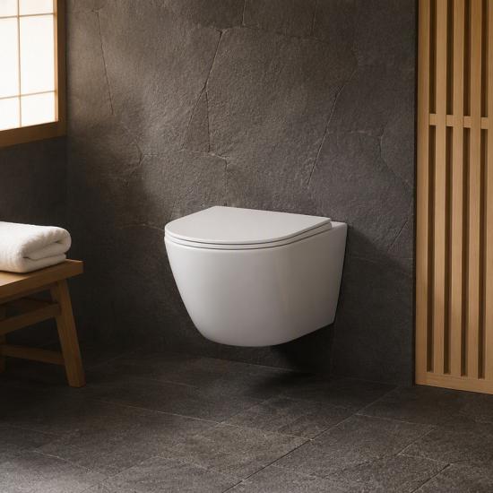 Wall hung toilet